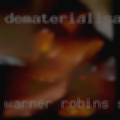 Warner Robins swingers